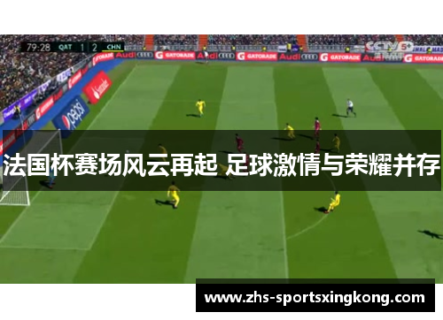 法国杯赛场风云再起 足球激情与荣耀并存