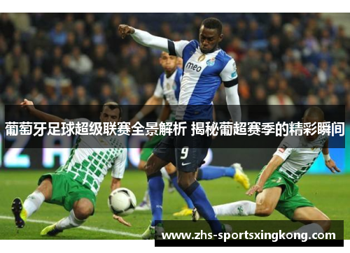 葡萄牙足球超级联赛全景解析 揭秘葡超赛季的精彩瞬间